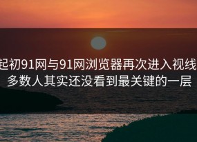 起初91网与91网浏览器再次进入视线，多数人其实还没看到最关键的一层