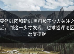 突然91网和新91黑料被不少人关注之后，到这一步才发现，也难怪评论区反复提起